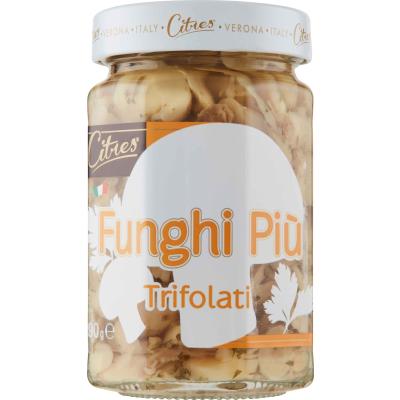 CITRES FUNGHI PIU' TRIFOLATI GR.285