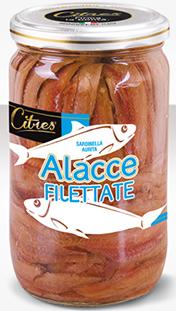 CITRES FILET. ALACCE CITRES GR.680
