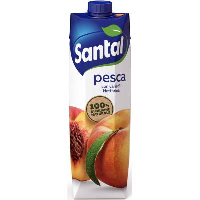 SANTAL SUCCO PESCA LT.1