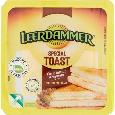 LEERDAMMER SPECIAL TOAST GR.125