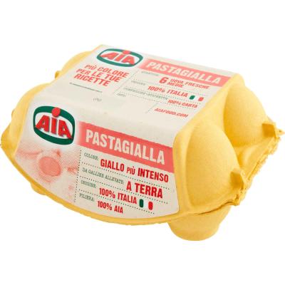 AIA UOVA PASTA GIALLA A TERRA X6