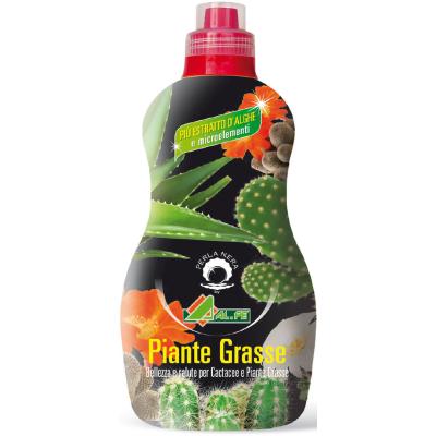 ALFE CONCIME PIANTE GRASSE KG.1