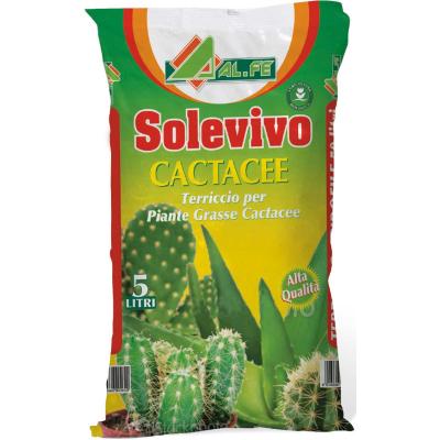ALFE TERRICCIO SOLEVIVO PIANTE GRASSE L5