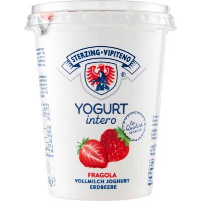 VIPITENO YOGURT FRAGOLA GR.500