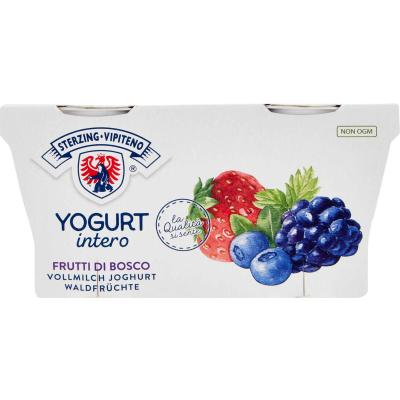 VIPITENO YOGURT FRUTTI DI BOSCO GR125X2