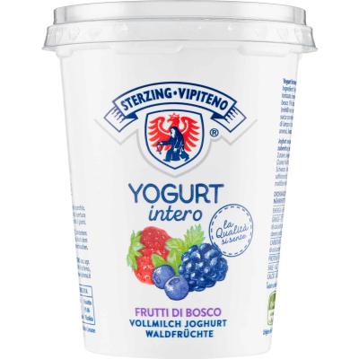 VIPITENO YOGURT FRUTTI BOSCO GR.500