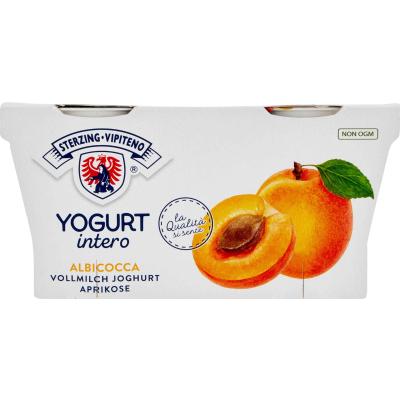 VIPITENO YOGURT ALBICOCCA GR125X2