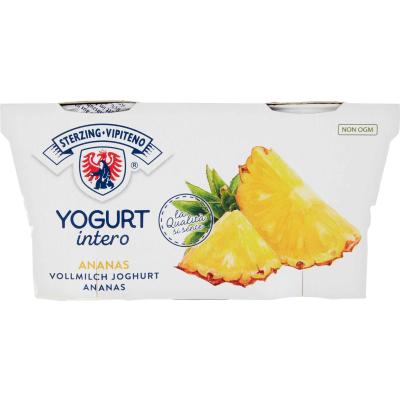 VIPITENO YOGURT ANANAS GR125X2