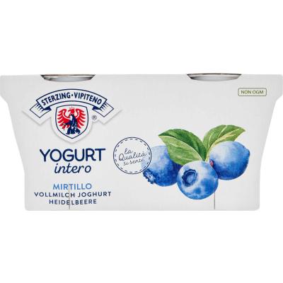 VIPITENO YOGURT MIRTILLO NERO GR125X2