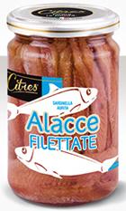 CITRES FILET. ALACCE GR.285