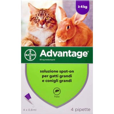 BAYER ADVANTAGE SPOT-ON GAT+CON>4KG