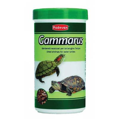 PADOVAN GAMMARUS GAMBER.X TARTA G130