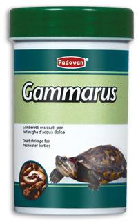 PADOVAN GAMMARUS GAMBER.X TARTA GR.12