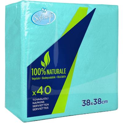SOFT SOFT TOVAGLIOLI ACQUA 38X38CM X40