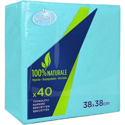 SOFT SOFT TOVAGLIOLI AZZURRO 38X38CM X40