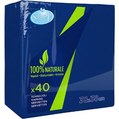 SOFT SOFT TOVAGLIOLI BLU SCU.38X38CM X40
