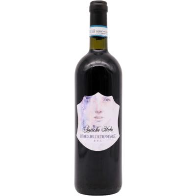 ANTICHE MOLE BONARDA FRIZ CL75 13°