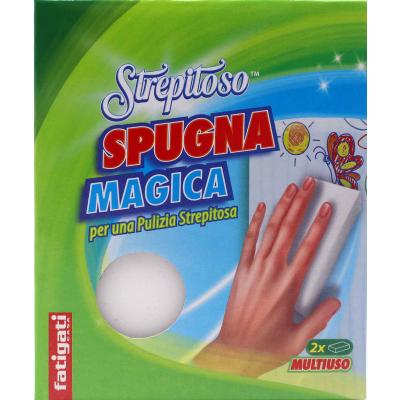 FATIGATI SPUGNA MAGICA STREPITOSA PZ2