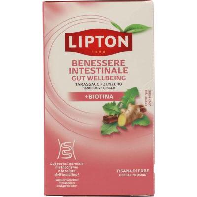 LIPTON TISANA BENESSERE INTESTINALE FF17