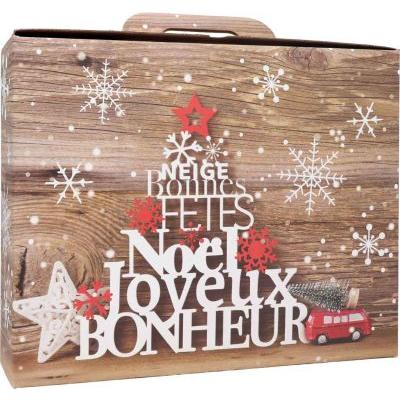 VALIGETTA CAT M40 SNOWFLAKES 38X32X9,5